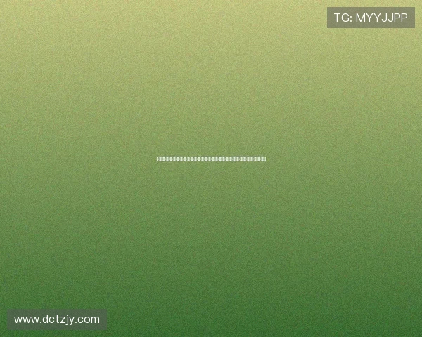 绿茵看台的呐喊与信仰当代足球迷文化新观察城市情感与社群力量研究